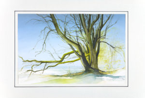 1994 Bäume im Vorfrühling, bei Bernried, Stanberger See, 340x220, Aquarell